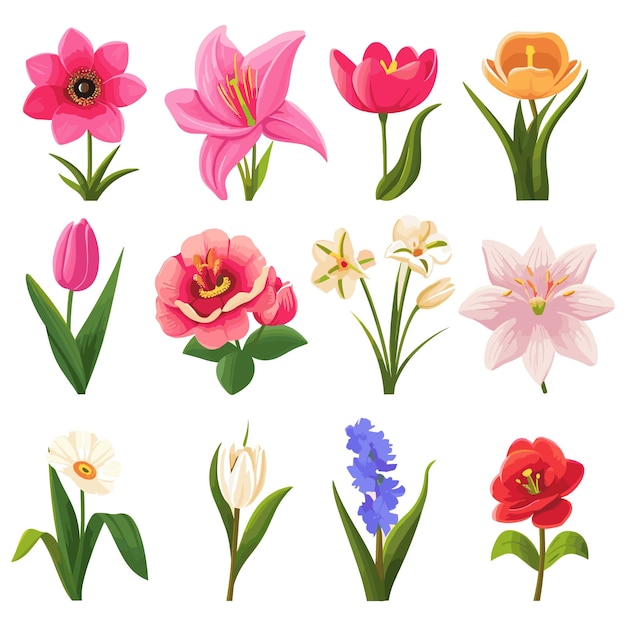 Colección gratuita de flores de primavera por vectores