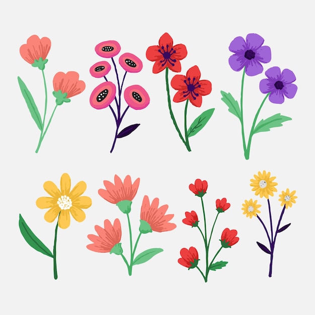 Vector colección de hermosas flores dibujadas a mano