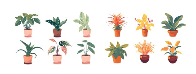 Vector colección de hermosas plantas en maceta ilustración con varias