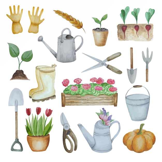 Colección de herramientas y plantas de jardín de acuarela El concepto de jardinería o jardinería