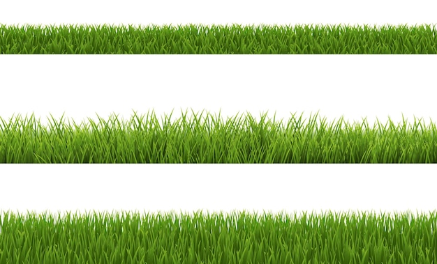 Colección de hierba verde con fondo blanco.