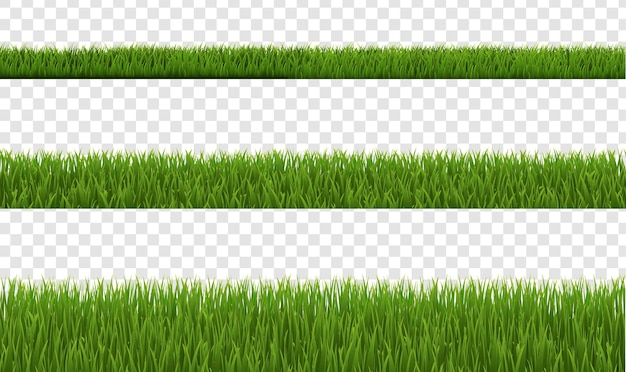 Vector colección de hierba verde y fondo transparente