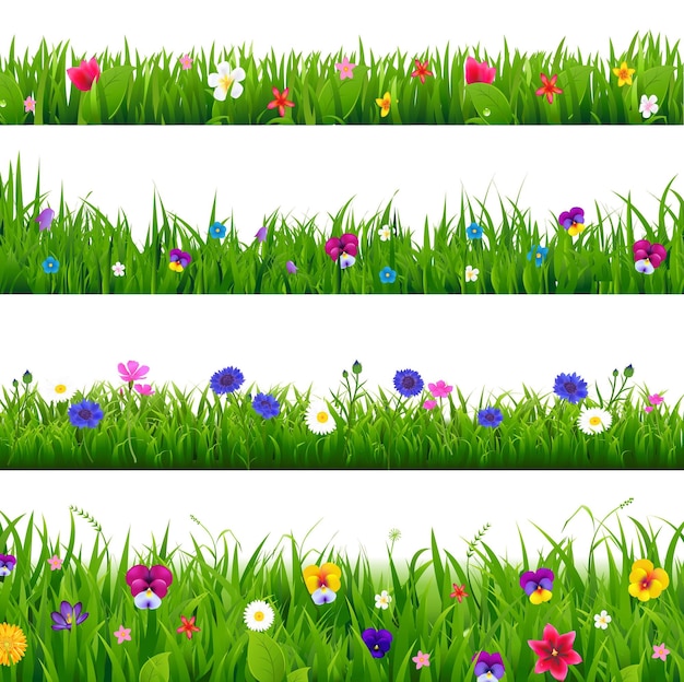 Vector colección hierba verde y fronteras de flores de primavera