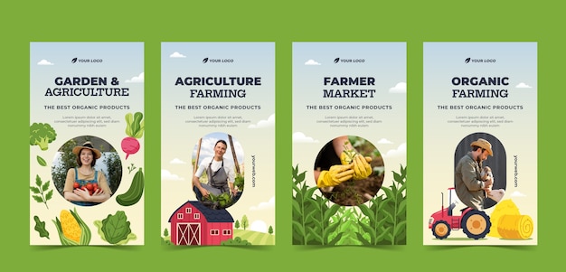 Colección de historias de instagram de empresa de agricultura plana