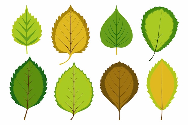 una colección de hojas de diferentes colores y las palabras " otoño "