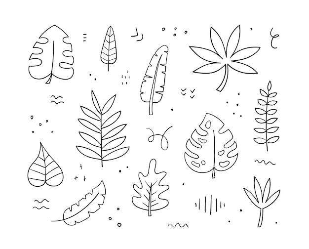 Vector colección de hojas exóticas dibujadas a mano estilo de boceto de garabato palma plátano monstera aralia hojas elementos de diseño lineal botánico ilustración vectorial