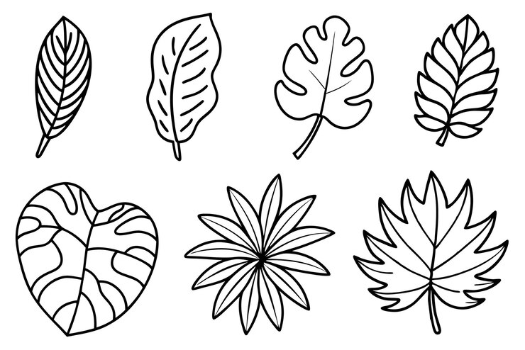 Vector una colección de hojas y una hoja con un diseño que dice hoja