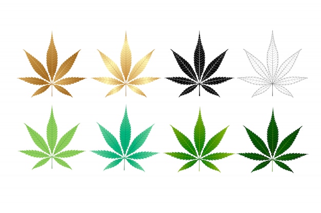 Colección de hojas de marihuana de vector