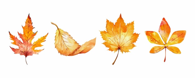 Colección de hojas de otoño acuarela diseño vectorial