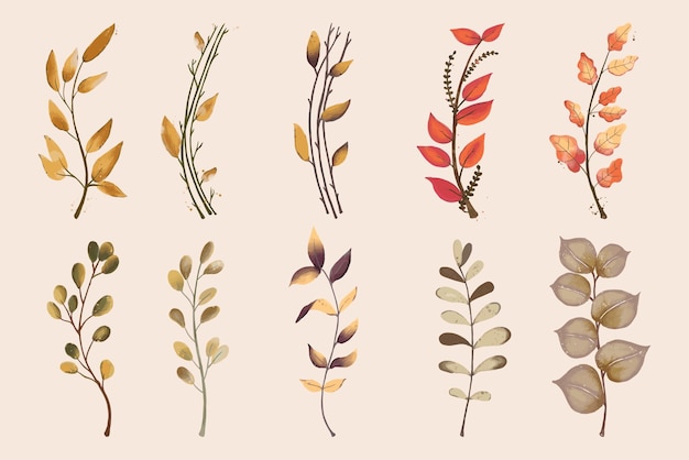Colección de hojas de otoño de acuarela