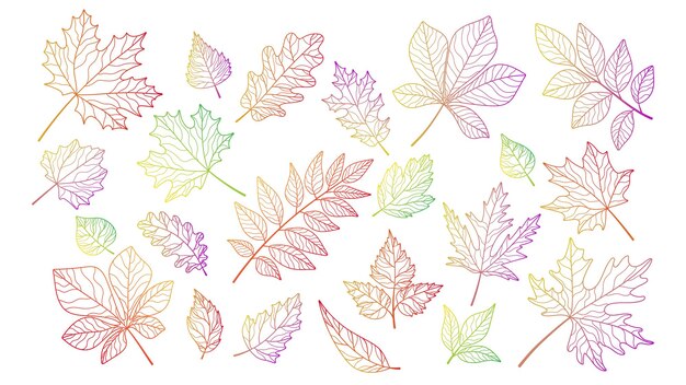 Colección de hojas de otoño dibujadas a mano Hoja en estilo doodle de una línea