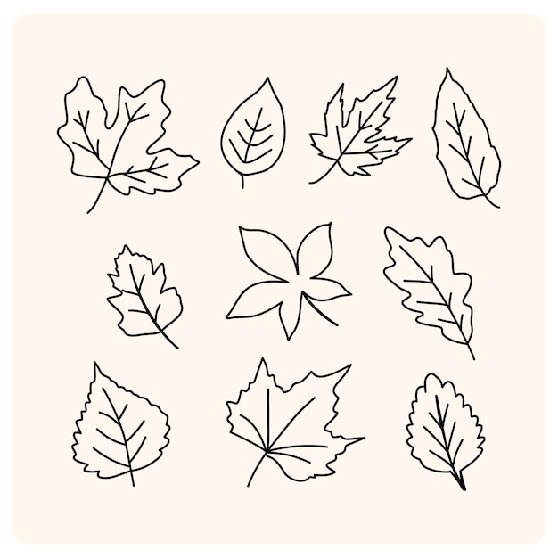 Colección de hojas de otoño en dibujo de estilo doodle