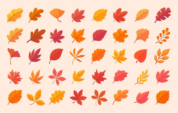 Colección de hojas de otoño Hojas de arce naranja en diseño simple de otoño