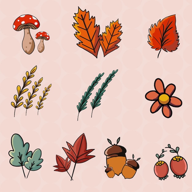 Colección de hojas de otoño Hojas y paquete aislado de elementos de diseño lindos y acogedores