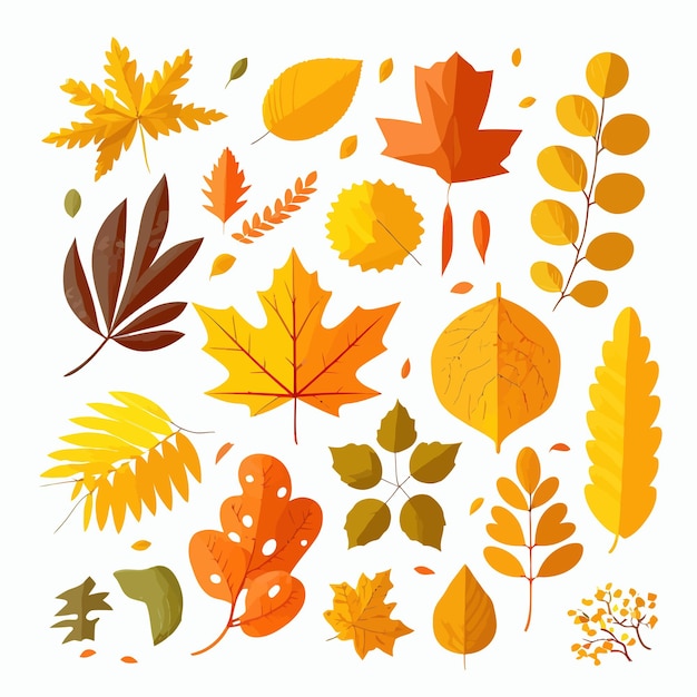 Vector colección de hojas de otoño ilustración dibujada a mano aislada sobre fondo blanco