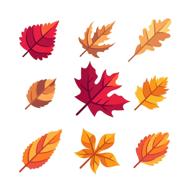 Vector colección de hojas de otoño planas