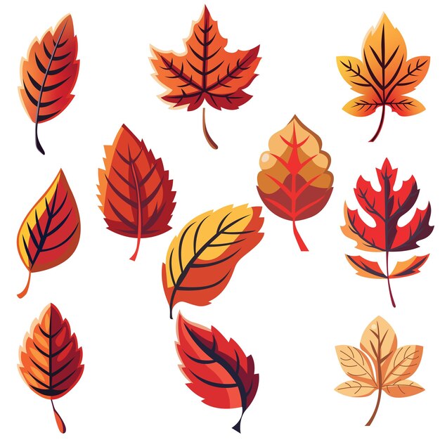 Colección de hojas de otoño sobre un fondo blanco