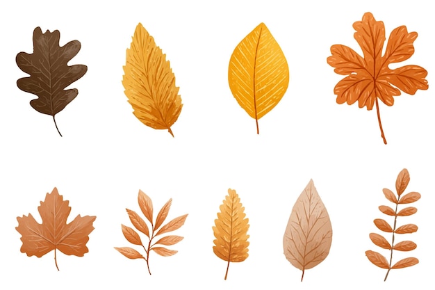 Colección de hojas de otoño en tonos naranja y marrón aisladas