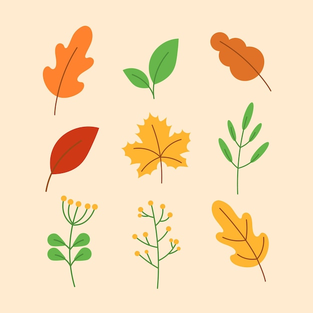 Colección de hojas y plantas de colores de otoño vectoriales