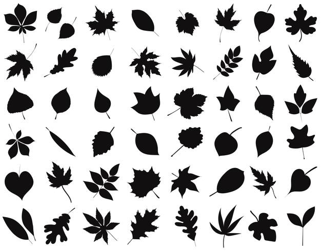 Colección de hojas de silueta en vector aislado de fondo blanco