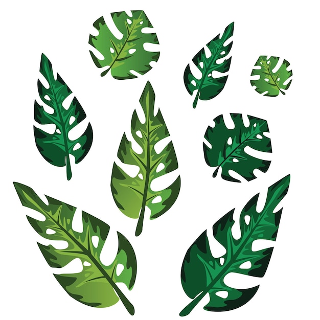 Vector colección de hojas tropicales hermosa licencia tropical diseño de arte vectorial ilustración de fotografía de stock