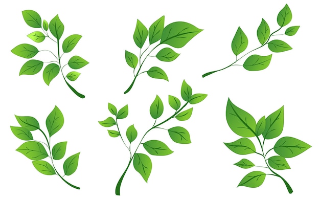 Una colección de hojas verdes dispuestas en diferentes posiciones El estilo gráfico es vibrante y plano El fondo es blanco sencillo Ilustración vectorial