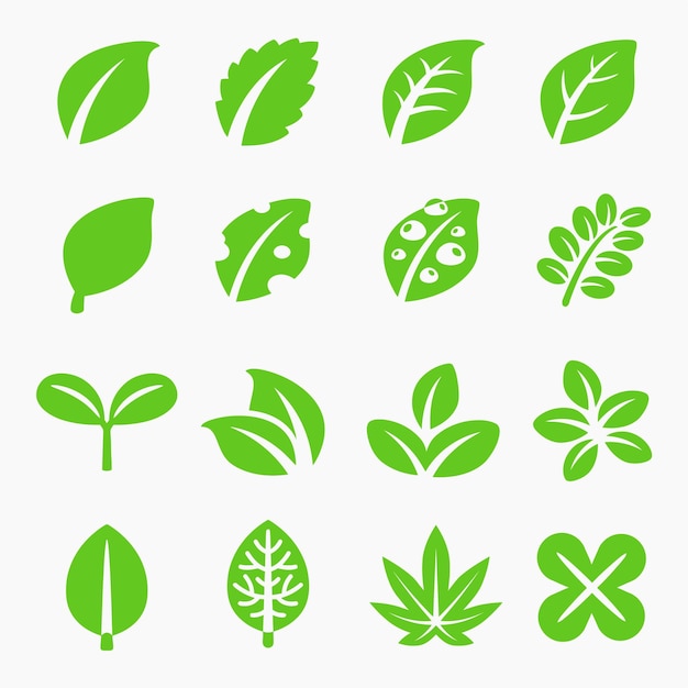 una colección de hojas verdes y hojas con la palabra hoja en ellas