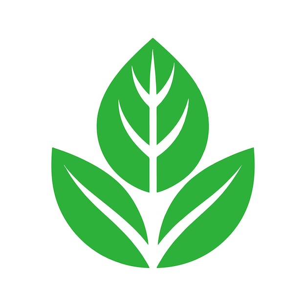 Una colección de hojas verdes y hojas de la planta descarga gratuita
