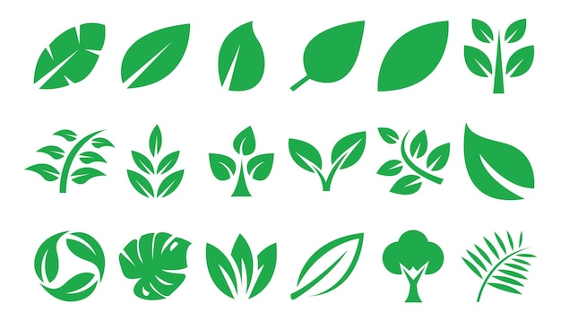 Colección de hojas verdes planas Ilustración vectorial