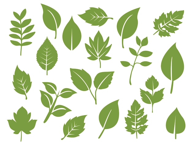 Colección de hojas verdes planas Ilustración vectorial