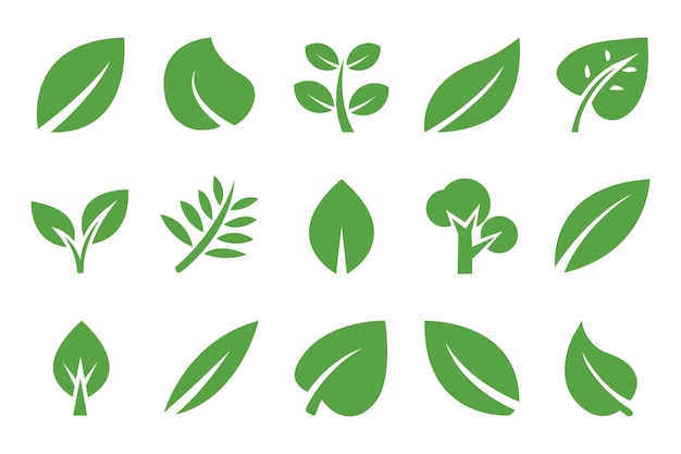 Colección de hojas verdes planas Ilustración vectorial