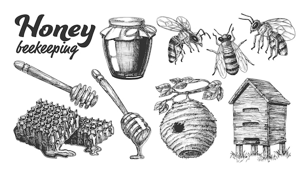 Colección honey apicultura apiario set.