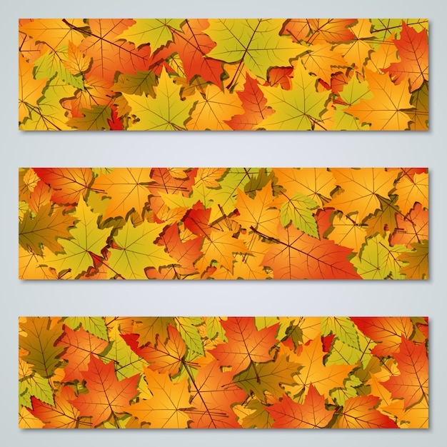 Colección horizontal del fondo del vector de las hojas coloridas del otoño