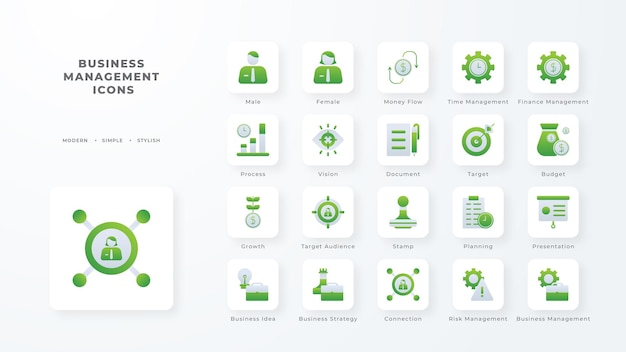 Colección de iconos de gestión empresarial con estilo de duotono verde Desarrollo de base de datos de moneda corporativa descubrir documento comercio electrónico Ilustración vectorial