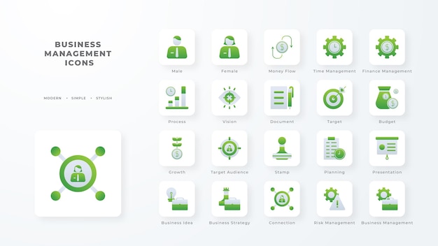 Colección de iconos de gestión empresarial con estilo de duotono verde Desarrollo de base de datos de moneda corporativa descubrir documento comercio electrónico Ilustración vectorial