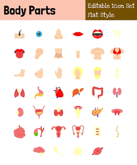 Colección de iconos de partes del cuerpo de estilo plano