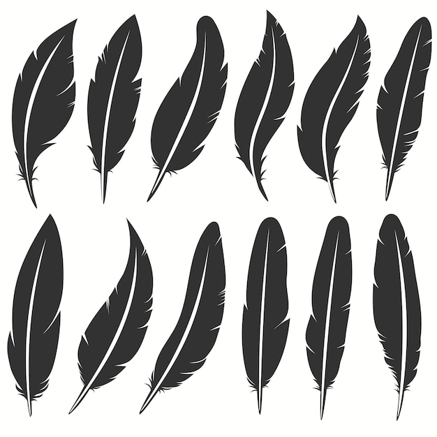 Colección de iconos de plumas de aves, símbolo de la escritura. Plumas mullidas caídas aisladas. Conjunto de plumas suaves exóticas. Ilustración vectorial