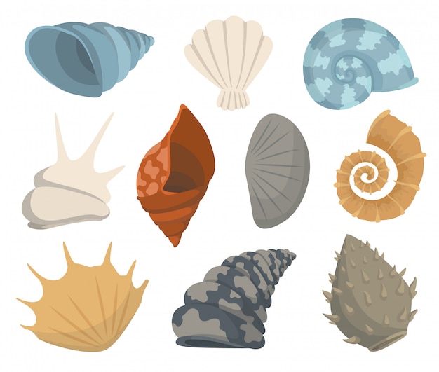 Colección de iconos submarinos coloridos conchas de mar tropical. Marina establece lindas pegatinas sobre fondo blanco. ilustración.