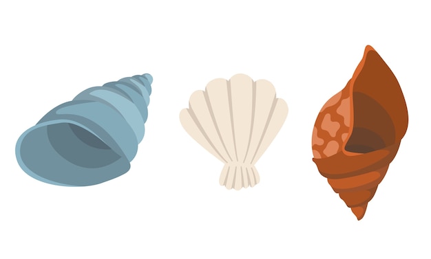 Colección de iconos submarinos coloridos conchas de mar tropical. Marina establece lindas pegatinas sobre fondo blanco.