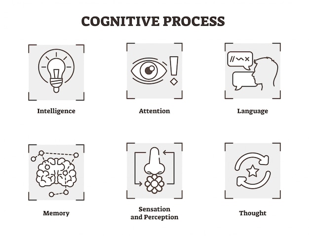 Colección de iconos de vector de proceso cognitivo psicológico