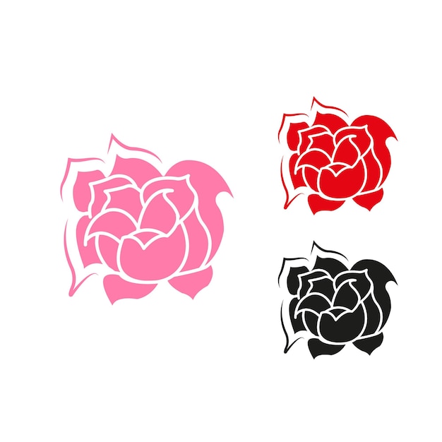 Colección de ilustración de diseño de rosas