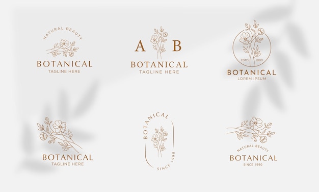 Colección de ilustración de logotipo botánico floral dibujado a mano para belleza orgánica natural vector premium