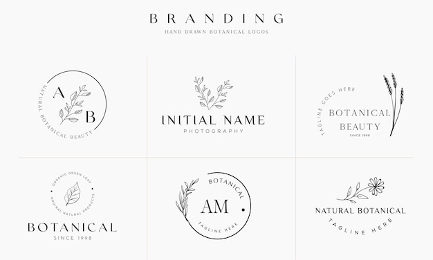 Colección de ilustración de logotipo botánico floral dibujado a mano para belleza orgánica natural Vector Premium