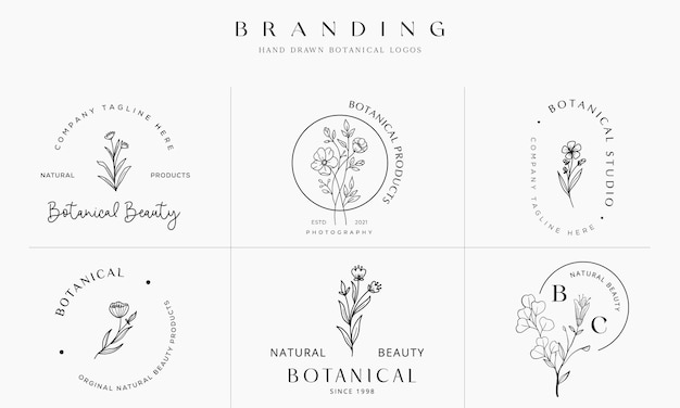 Colección de ilustración de logotipo botánico floral dibujado a mano para belleza orgánica natural Vector Premium