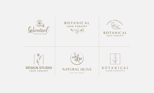 Colección de ilustración de logotipo botánico floral dibujado a mano para belleza orgánica natural vector premium