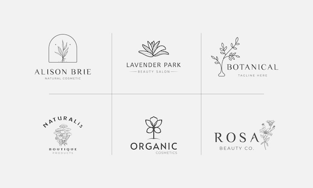 Colección de ilustración de logotipo botánico floral dibujado a mano para belleza orgánica natural vector premium