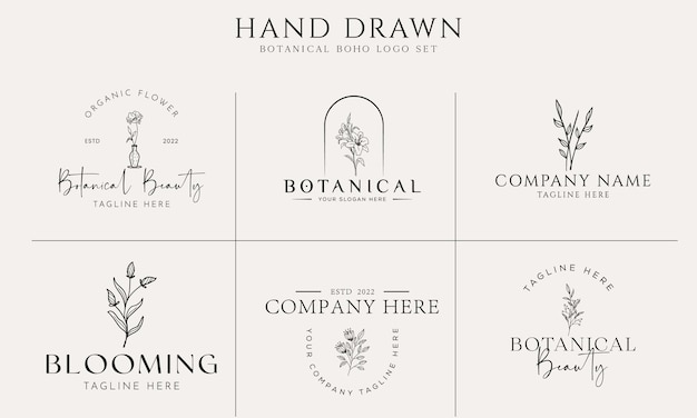 Vector colección de ilustración de logotipo botánico floral dibujado a mano para belleza orgánica natural vector premium