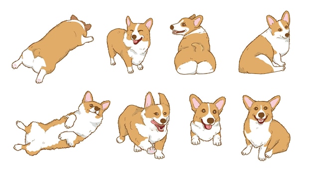 Vector colección de ilustración de perro corgi de dibujos animados