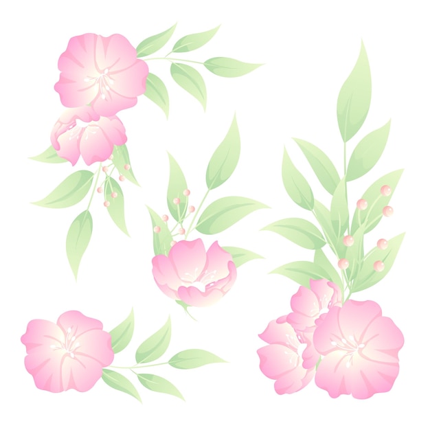 colección de ilustración de ramo de flor de cerezo