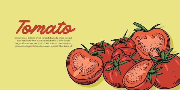 Colección de ilustración de tomate de vector de fruta plana